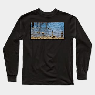 Windermere17 Long Sleeve T-Shirt